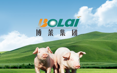 博萊集團
